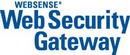 Websense Web Security Gateway